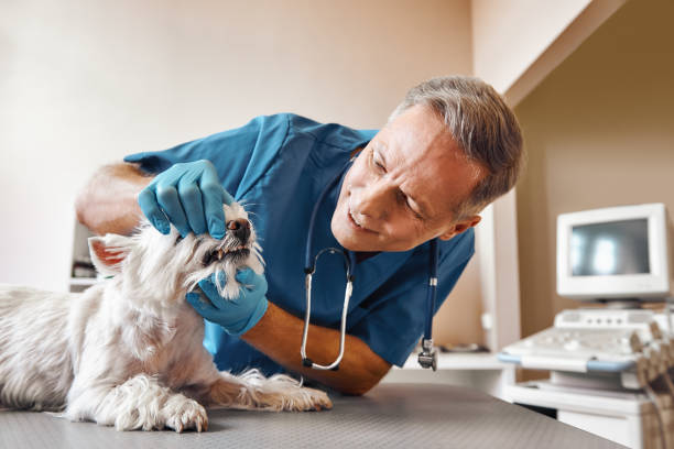 Best Emergency Treatment for Dental Infections or Abscesses in Tifton, GA