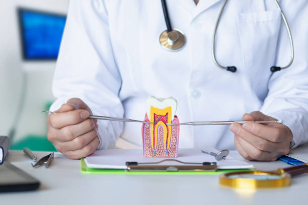 Best Emergency Wisdom Teeth Removal in Tifton, GA